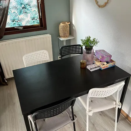 Te Huur In Putten, Honden Harte Welkom, Alleen Voor Recreatie Chalet