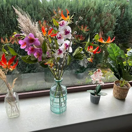 Te Huur In Putten, Honden Harte Welkom, Alleen Voor Recreatie * Putten