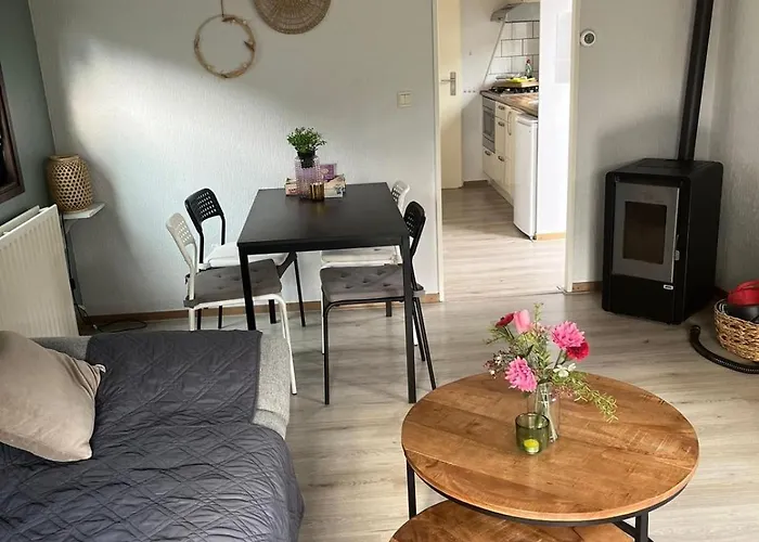 Te Huur In Putten, Honden Harte Welkom, Alleen Voor Recreatie *