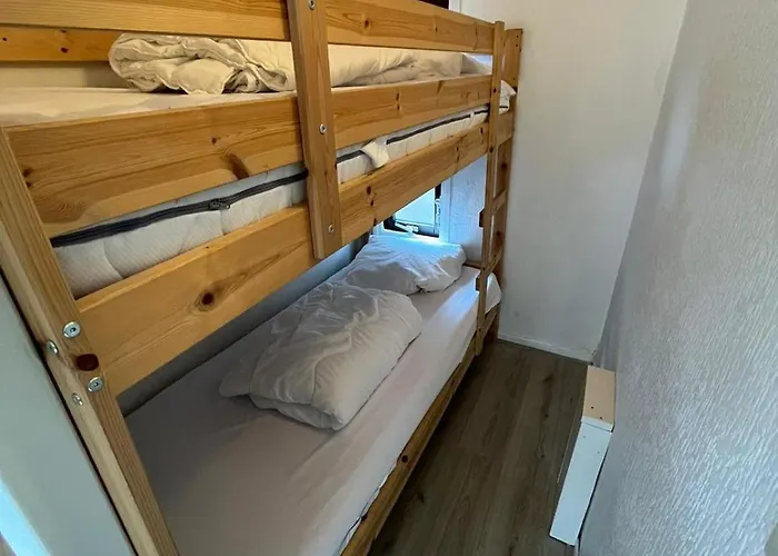 Te Huur In Putten, Honden Harte Welkom, Alleen Voor Recreatie * Putten