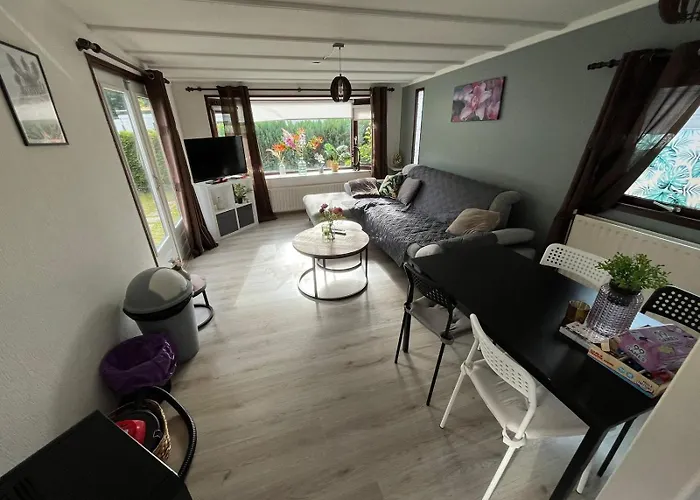 Te Huur In Putten, Honden Harte Welkom, Alleen Voor Recreatie Alpehytte Putten