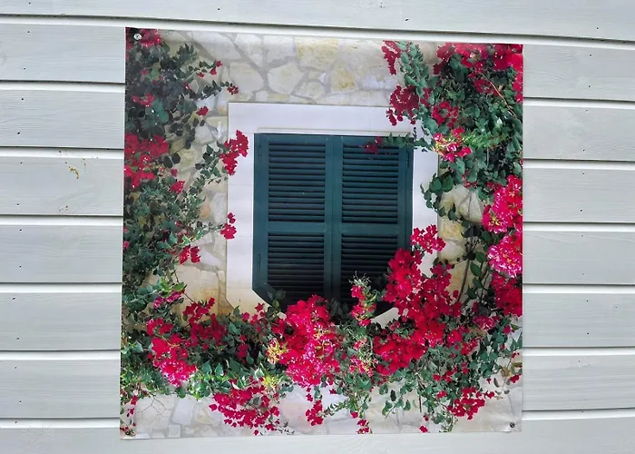 Alpehytte Te Huur In Putten, Honden Harte Welkom, Alleen Voor Recreatie