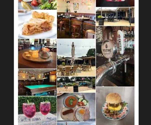 Te Huur In Putten, Honden Harte Welkom, Alleen Voor Recreatie Alpehytte Putten