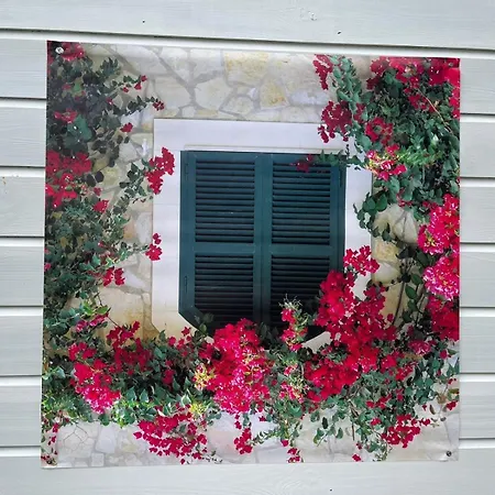 木屋 Te Huur In Putten, Honden Harte Welkom, Alleen Voor Recreatie