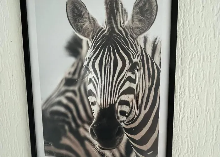 木屋 Te Huur In Putten, Honden Harte Welkom, Alleen Voor Recreatie 皮滕