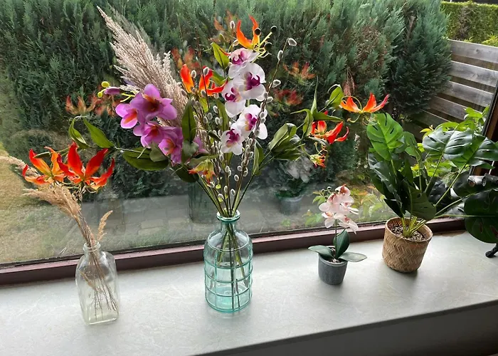 Te Huur In Putten, Honden Harte Welkom, Alleen Voor Recreatie * 皮滕